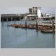 028 San Francisco.jpg